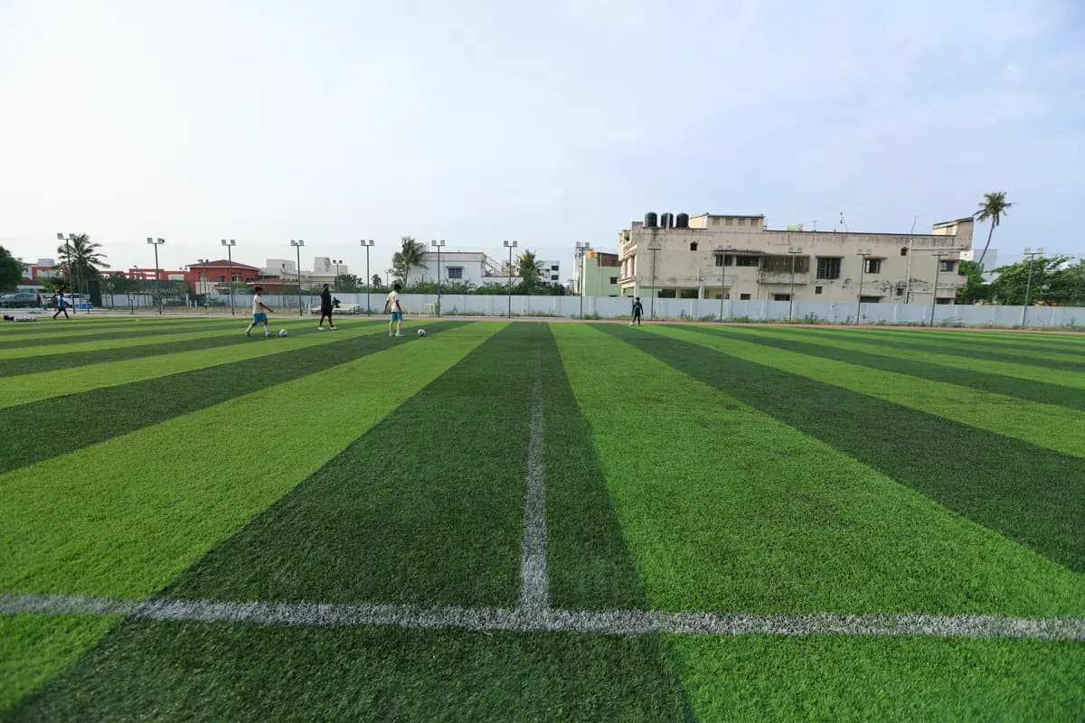 Training Ground View