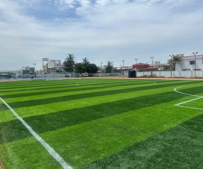 Training Ground View