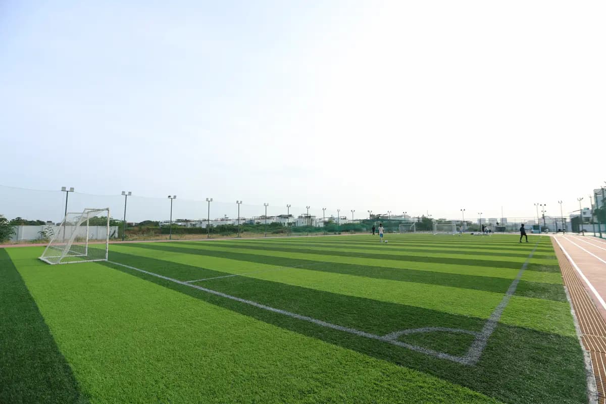 Training Ground View