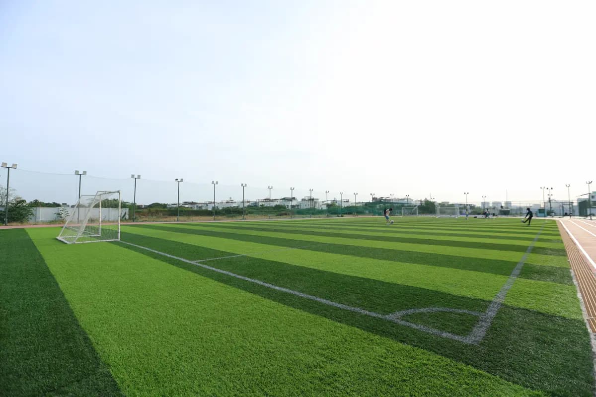 Training Ground View
