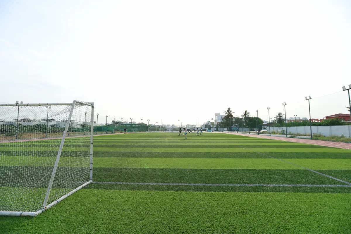 Training Ground View