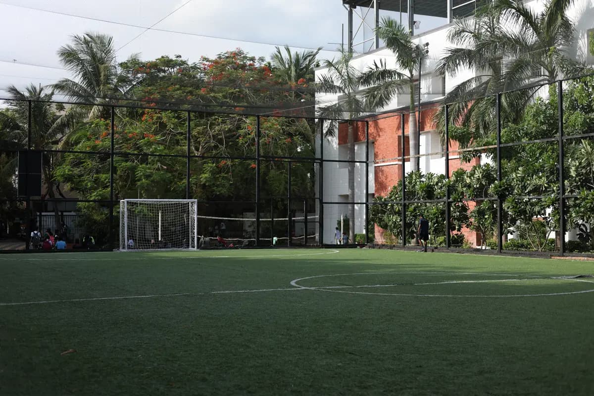 Training Ground View