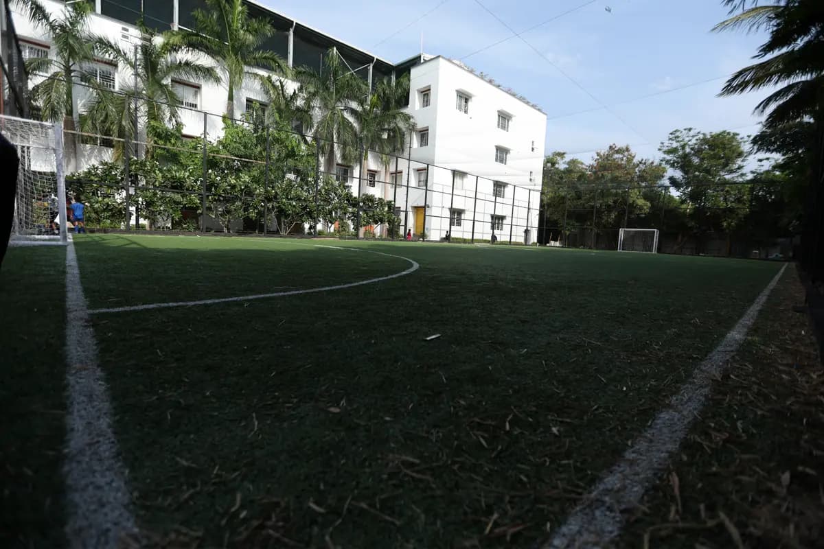 Training Ground View