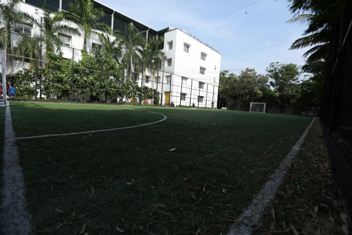Training Ground View