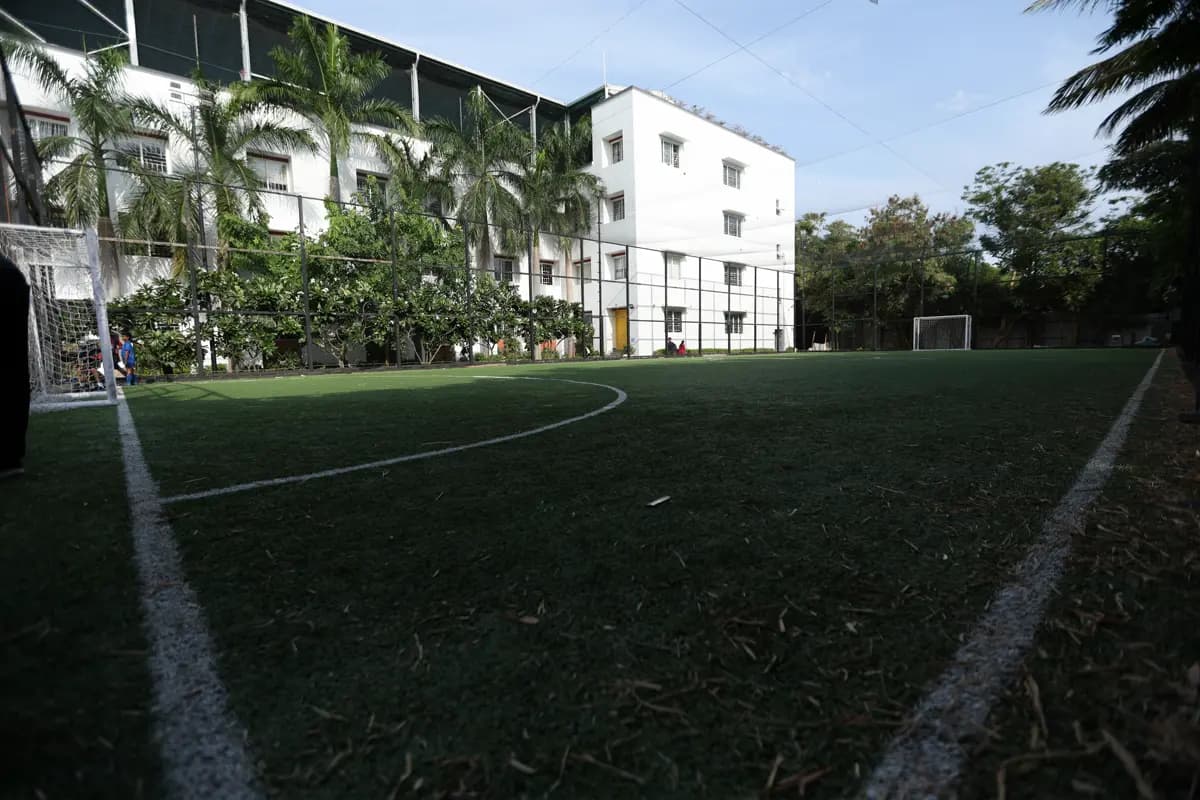 Training Ground View