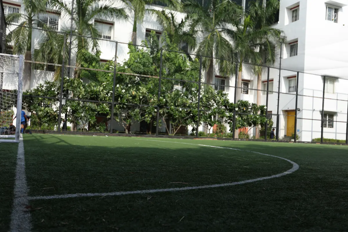 Training Ground View