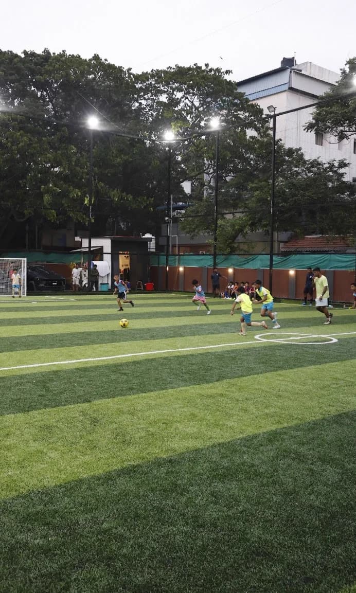 Training Ground View