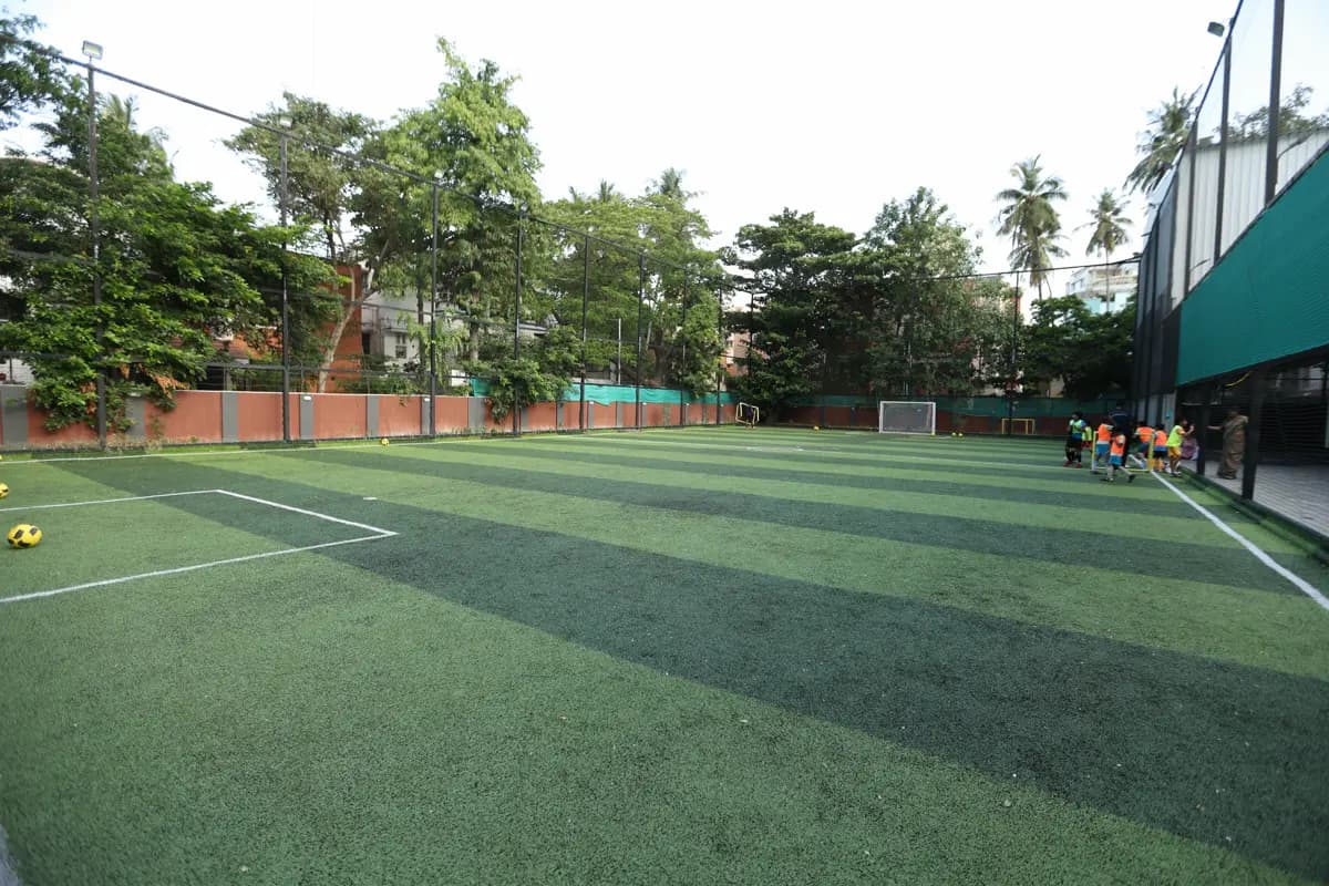 Training Ground View