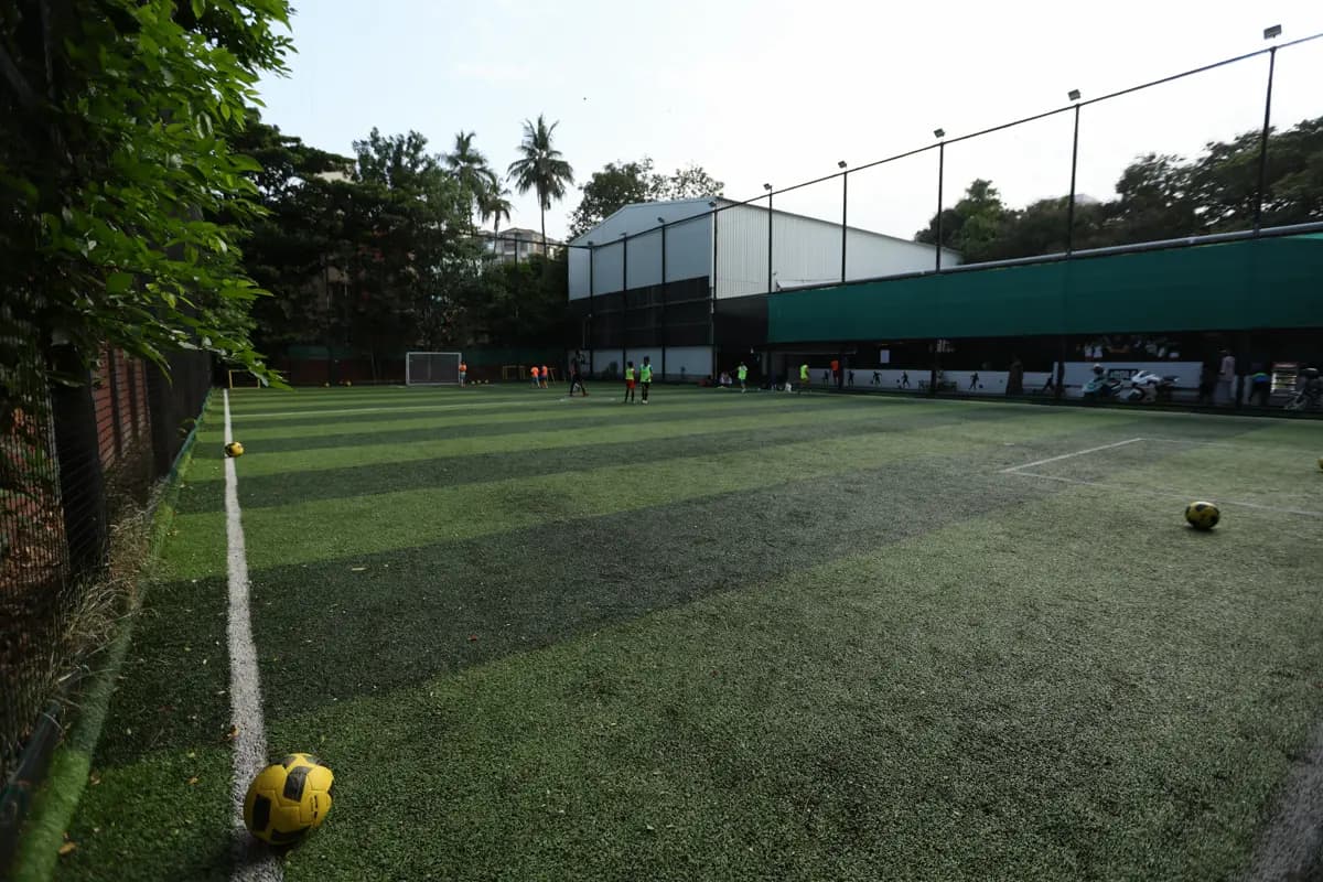 Training Ground View